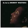 Muddy Waters/Best Of Muddy Waters (Blue)