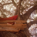 Backseat Lovers/Waiting To Spill (Clear)