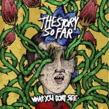 Story So Far/What You Don't See (16th-Blue-White Splat)
