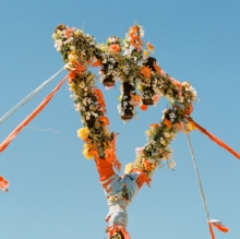 Devil Wears Prada/Flowers (Orange Crush)