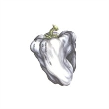 Ween/White Pepper (Green) -PREORDER