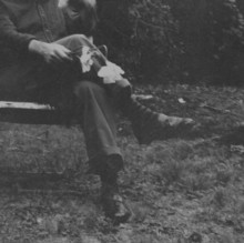 Needtobreathe/Long Surrender