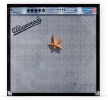 Neighbourhood/Ultrasound+ (Tangerine)