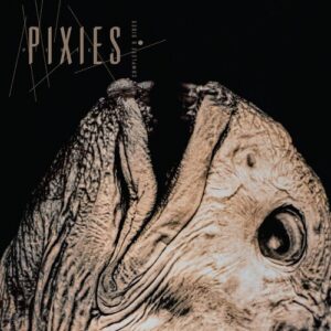 PIxies/Complete B Sides:1988-97 (Clear)